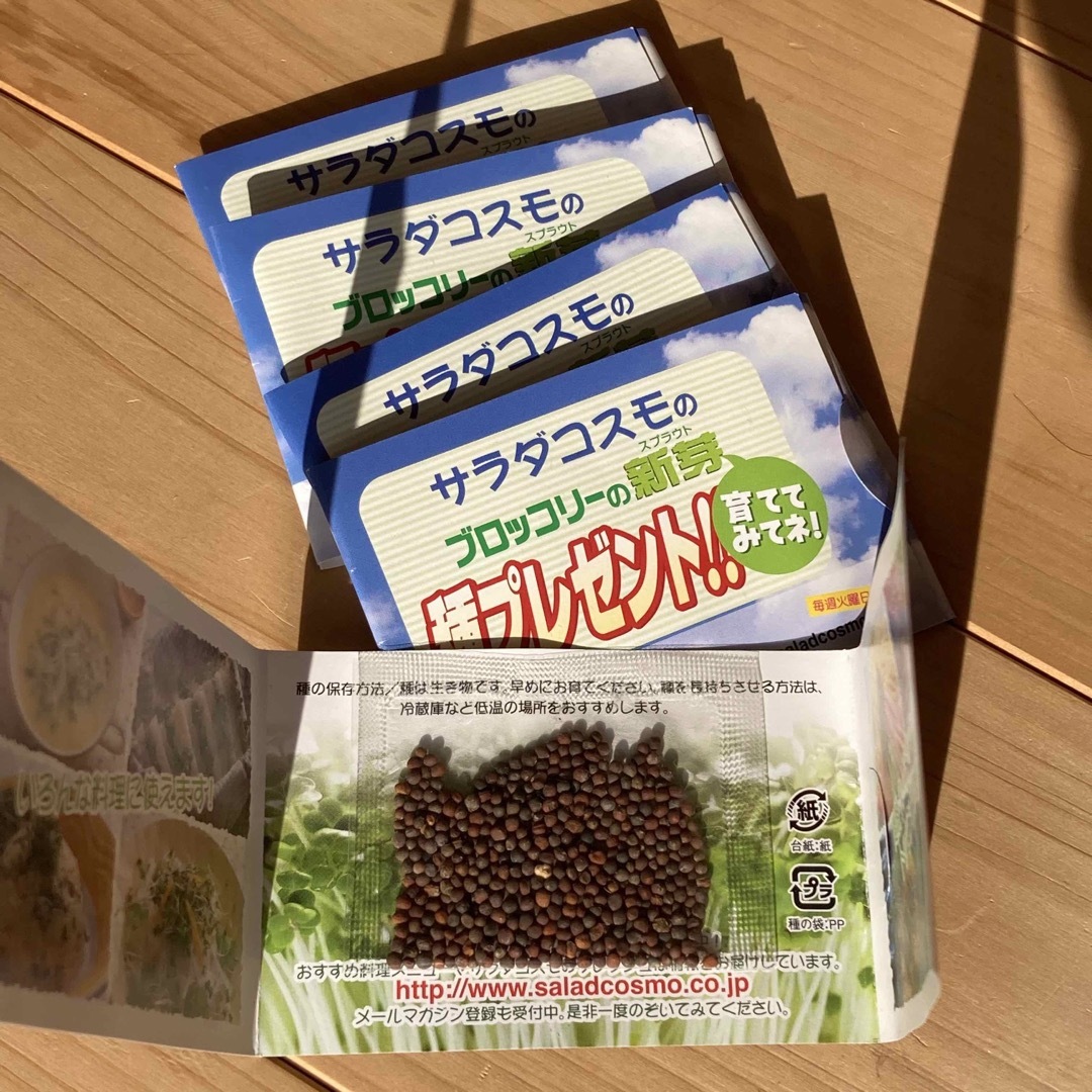 ブロッコリースプラウトの種　家庭菜園 食品/飲料/酒の食品(野菜)の商品写真