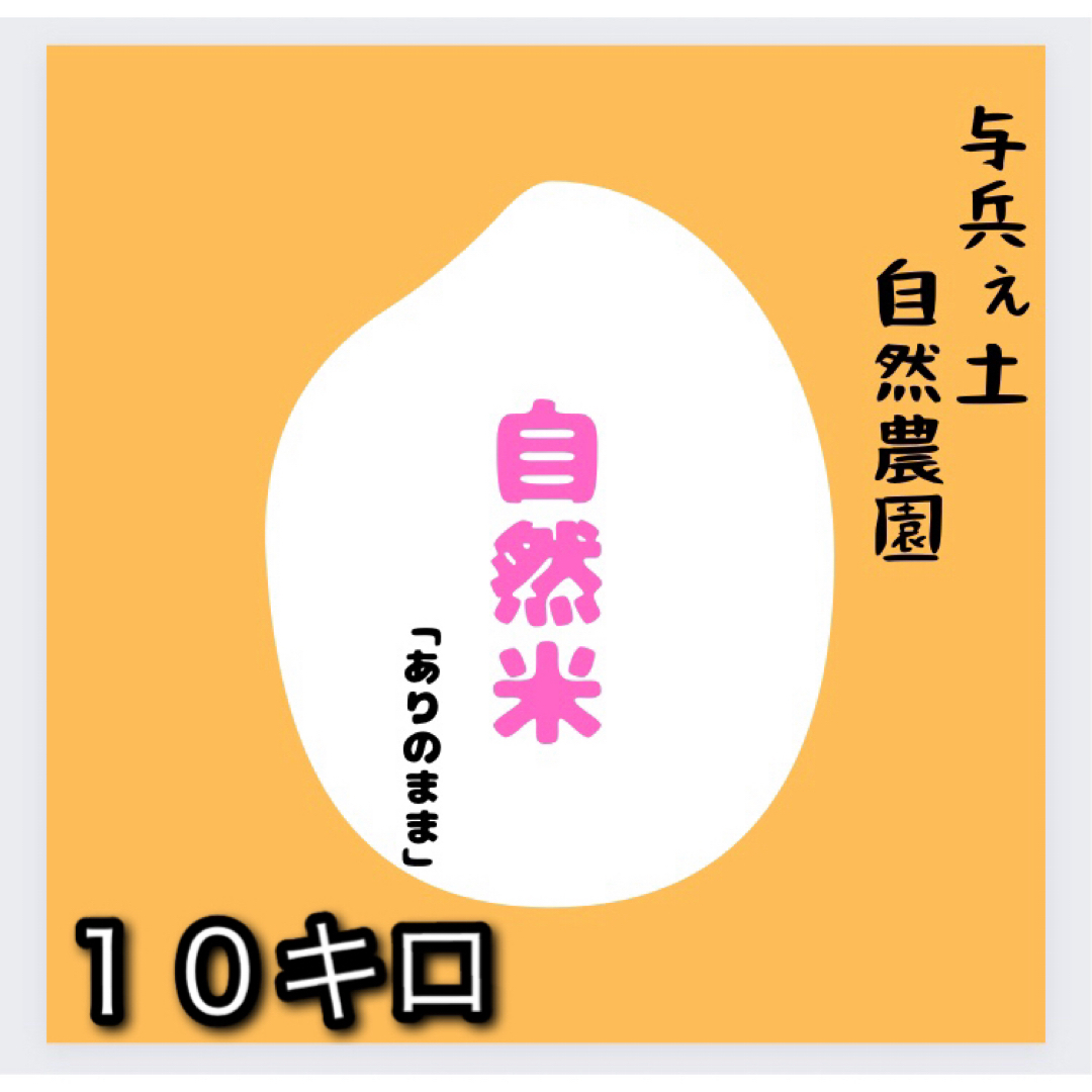 自然栽培新米　R5年産 玄米　農薬不使用　無施肥　10キロ　コシヒカリ　自然栽培米