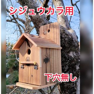 巣箱　シジュウカラ用(鳥)