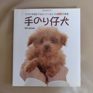 手のり仔犬 : 仔犬の体温まで伝わってくるような3D写真集 いぬ 犬 写真集(絵本/児童書)