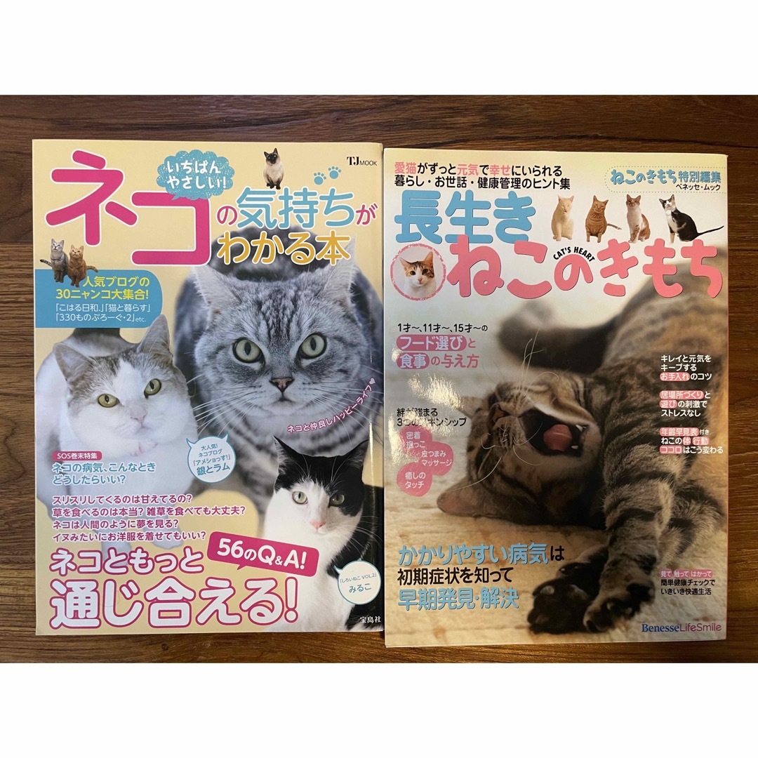 ねこのきもち 美品 2冊セット ペット 猫 本 猫用品 その他のペット用品(猫)の商品写真