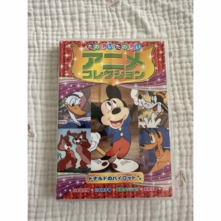 ディズニー(Disney)のドナルドのパイロット DVD(アニメ)