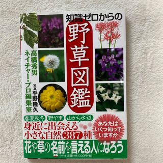 知識ゼロからの野草図鑑(趣味/スポーツ/実用)