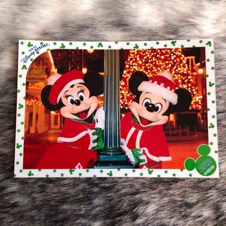 ディズニー(Disney)の【used】スペシャルフォト　写真　ミッキー　ミニー　クリスマス　2012(印刷物)