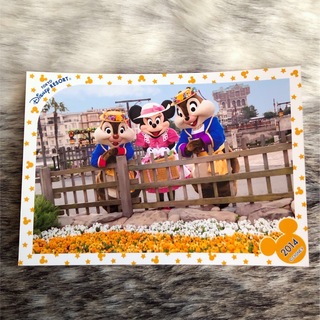 ディズニー(Disney)の【used】スペシャルフォト　写真　ミニー　チップ　デール　2014 春旅(印刷物)