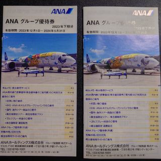 エーエヌエー(ゼンニッポンクウユ)(ANA(全日本空輸))のANA グループ優待 冊子 2冊セット(その他)