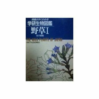 野草 1 双子葉類 (特徴がすぐわかる学研生物図鑑) 矢野 佐(語学/参考書)