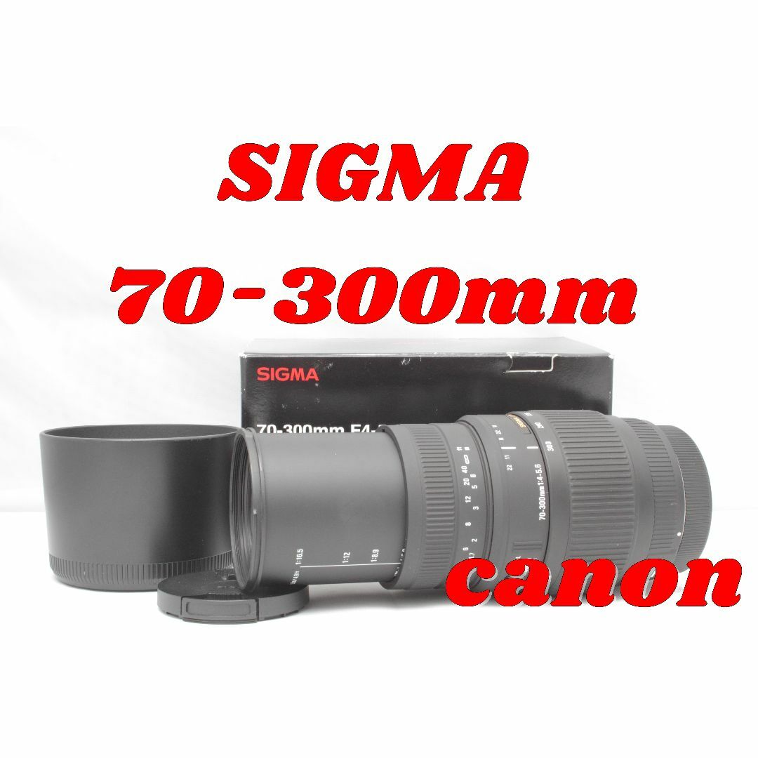 canon用　SIGMA DG 70-300mm DG MACROカメラモモ