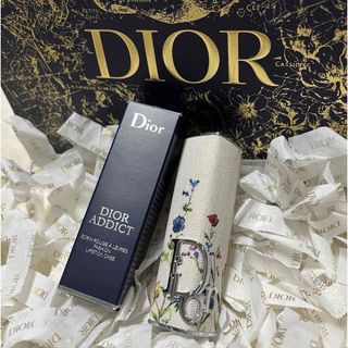 ディオール(Dior)のディオール ミレフィオリ ケースのみ(口紅)