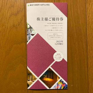 東急不動産 株主優待券 500株以上1000株未満(宿泊券)