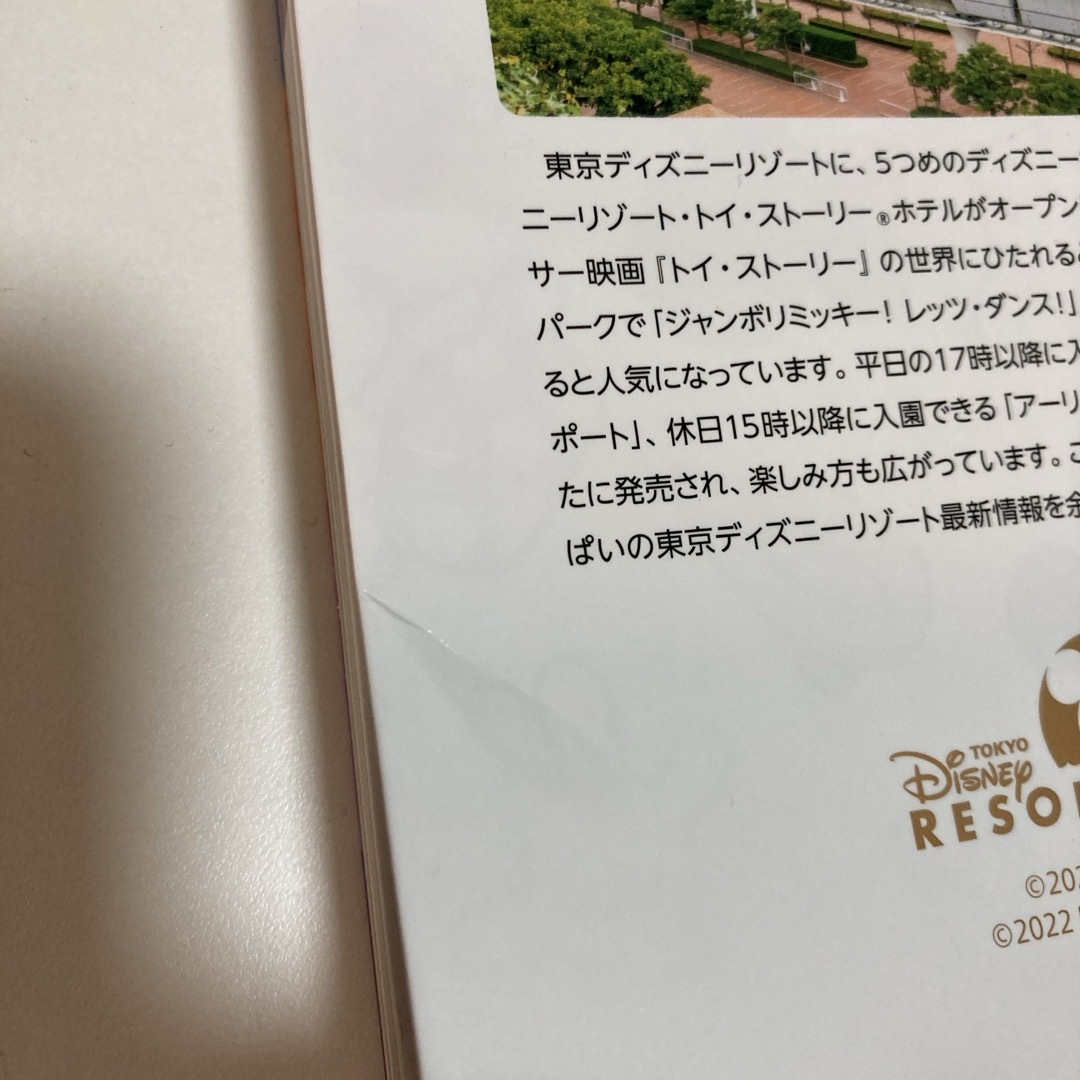 Disney(ディズニー)の東京ディズニーリゾート完全ガイド エンタメ/ホビーの本(地図/旅行ガイド)の商品写真
