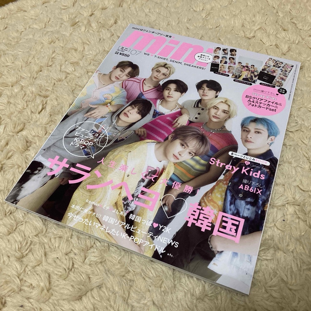 Stray Kids(ストレイキッズ)のmini (ミニ) Straykids カード、ファイル付録 エンタメ/ホビーの雑誌(その他)の商品写真