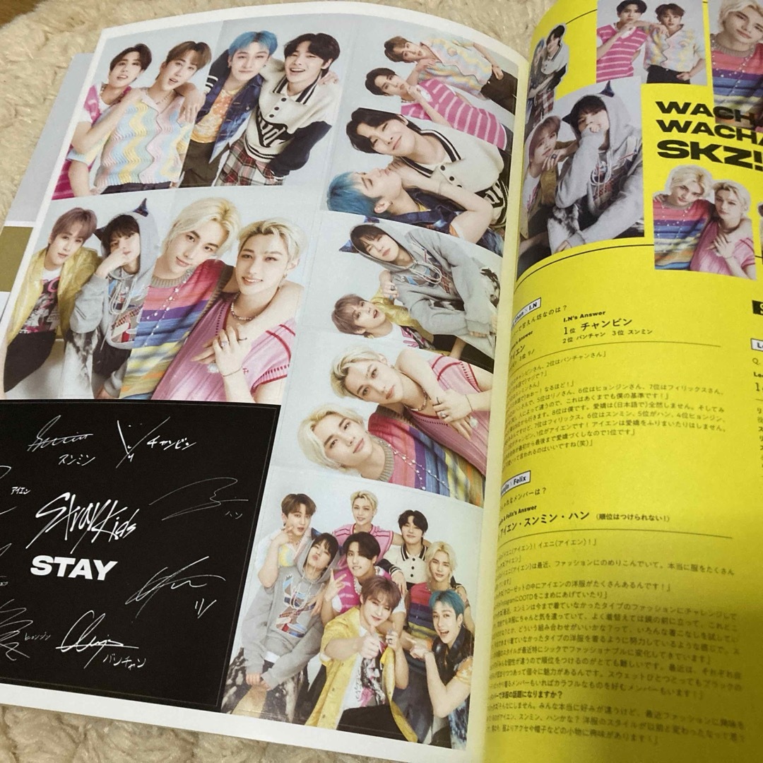 Stray Kids(ストレイキッズ)のmini (ミニ) Straykids カード、ファイル付録 エンタメ/ホビーの雑誌(その他)の商品写真