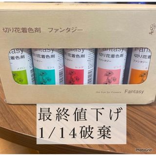 切り花着色剤ファンタジー(その他)