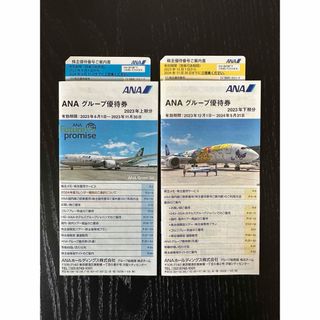 エーエヌエー(ゼンニッポンクウユ)(ANA(全日本空輸))のANA 株主優待優待 2枚(その他)