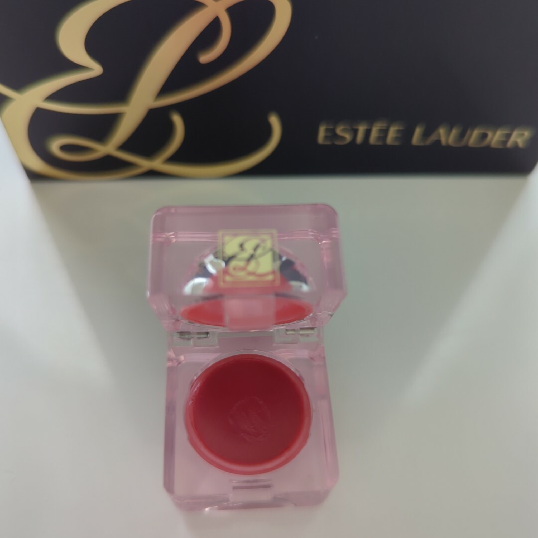 Estee Lauder(エスティローダー)の美品☆エスティローダー　専用ケース付きメイクブラシ4本組 コスメ/美容のメイク道具/ケアグッズ(ブラシ・チップ)の商品写真