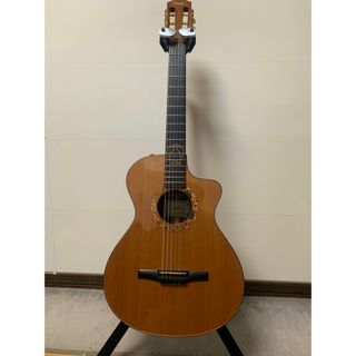 ティラー(Taylor)のTaylor Jason Mraz Signature Model (JMSM)(アコースティックギター)