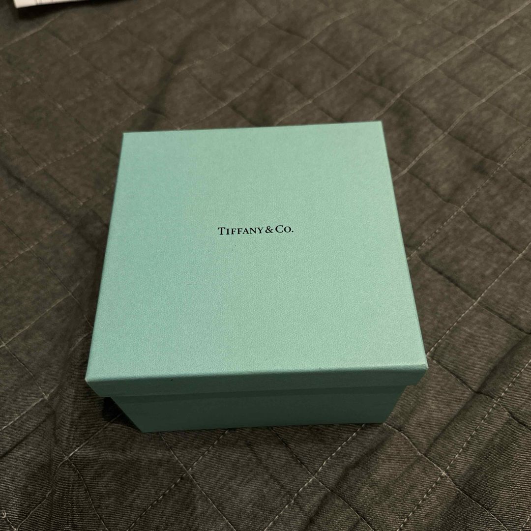 Tiffany & Co. - TIFFANY&Co ティファニー 箱 ジュエリーポーチ Tiffany & Co. - TIFFANY&Co ティファニー 箱 ジュエリーポーチ
