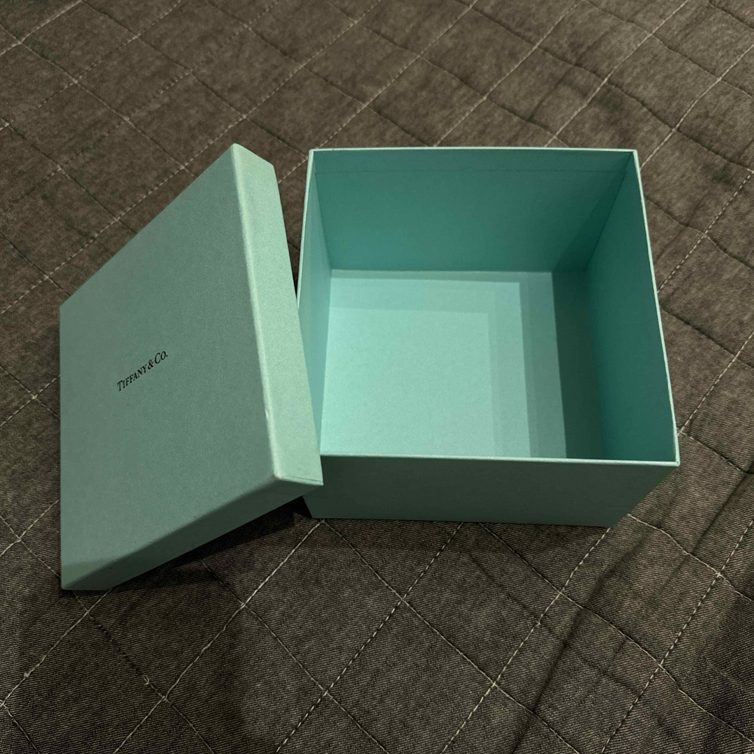 Tiffany & Co. - TIFFANY&Co ティファニー 箱 ジュエリーポーチ Tiffany & Co. - TIFFANY&Co ティファニー 箱 ジュエリーポーチ