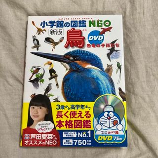 クリーニング済み山犬の子ジロー 熊野のおじいのとっておきの話/Ｇａｋｋｅｎ/水上美佐雄