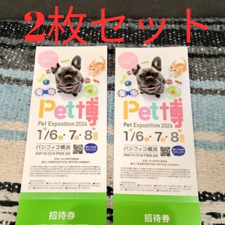ペット博 Pet博 パシフィ横浜 無料入場券 入場 チケット 2枚 匿名配送(その他)