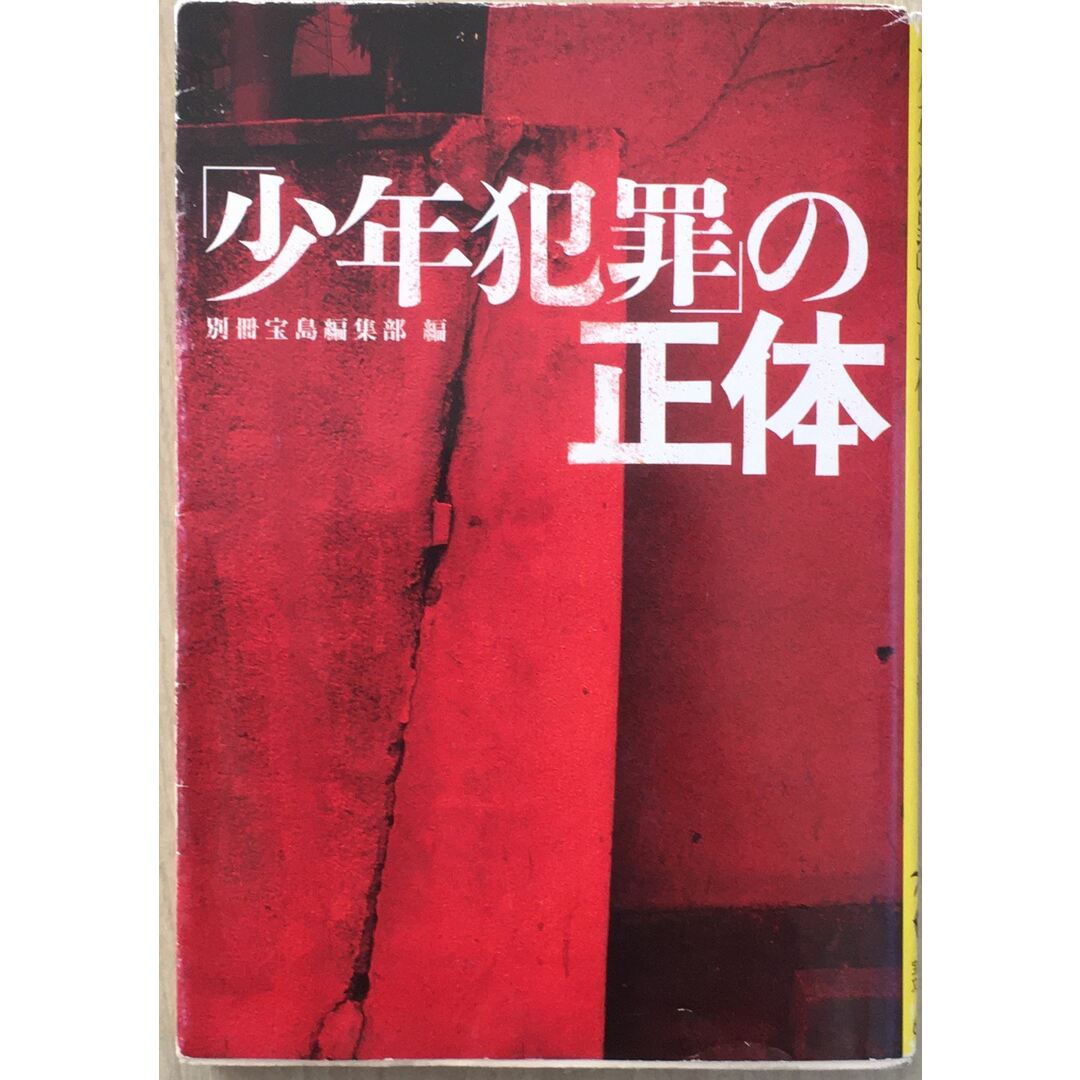 「少年犯罪」の正体 (宝島社文庫)　管理番号：20231230-3 エンタメ/ホビーの本(その他)の商品写真