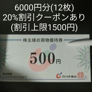 アルペン　8000円分　株主優待　2024年9月30日まで