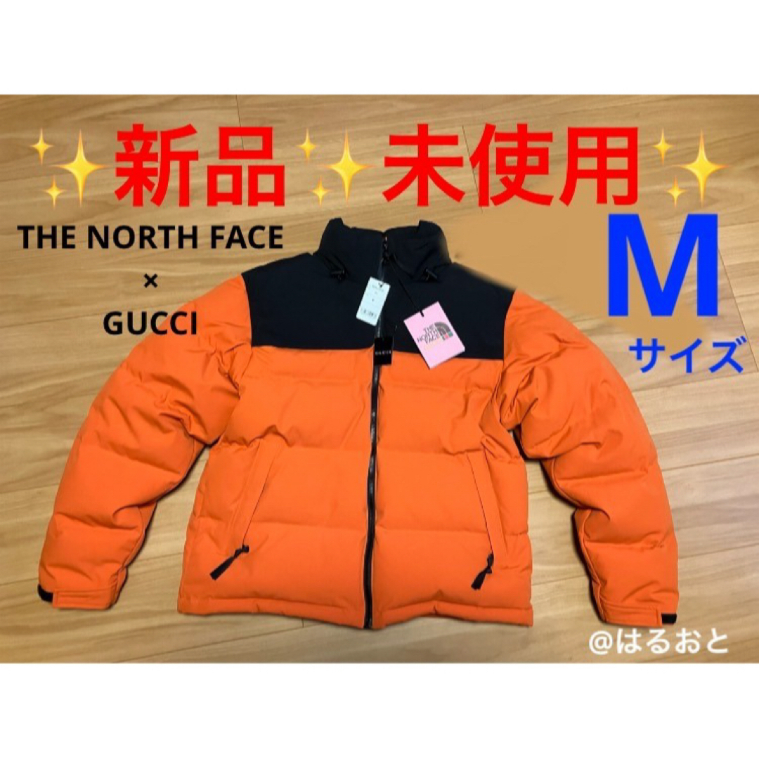 THE NORTH FACE(ザノースフェイス)のThe North Face x GUCCI ダウン ヌプシ　663757 メンズのジャケット/アウター(ダウンジャケット)の商品写真