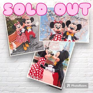 ディズニー(Disney)の【used】写真　ディズニー　ミッキー　ミニー　さくら　サイン(キャラクターグッズ)