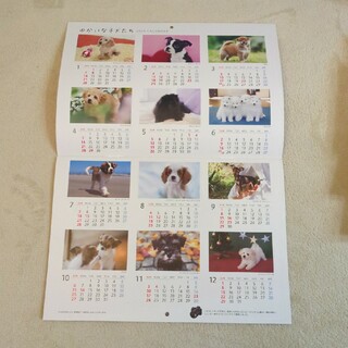 2024カレンダー　ゆかいな子犬たち(カレンダー/スケジュール)