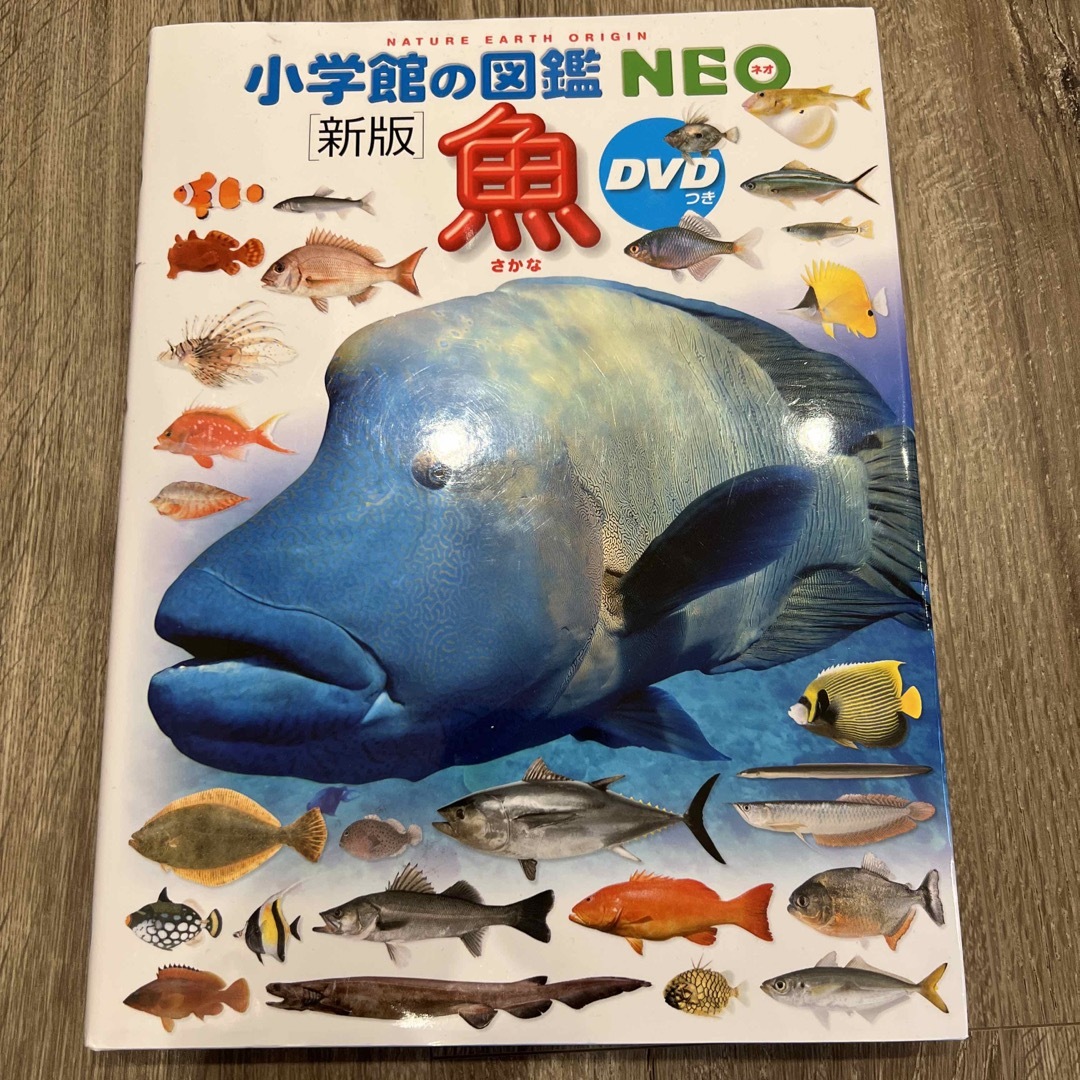 小学館(ショウガクカン)の小学館の図鑑　NEO 魚 エンタメ/ホビーの本(絵本/児童書)の商品写真