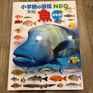 ショウガクカン(小学館)の小学館の図鑑　NEO 魚(絵本/児童書)