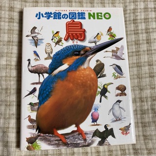 鳥　　小学館の図鑑　neo(絵本/児童書)