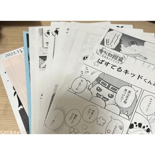 キドロペーパー11枚(ボーイズラブ(BL))