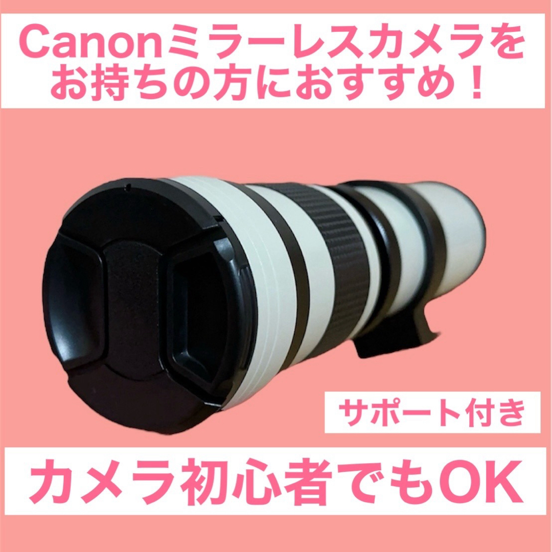 サポート付き!Canonミラーレスカメラをお持ちの方におすすめ サポート付き!Canonミラーレスカメラをお持ちの方におすすめ