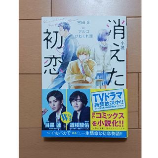 シュウエイシャ(集英社)の小説消えた初恋(文学/小説)