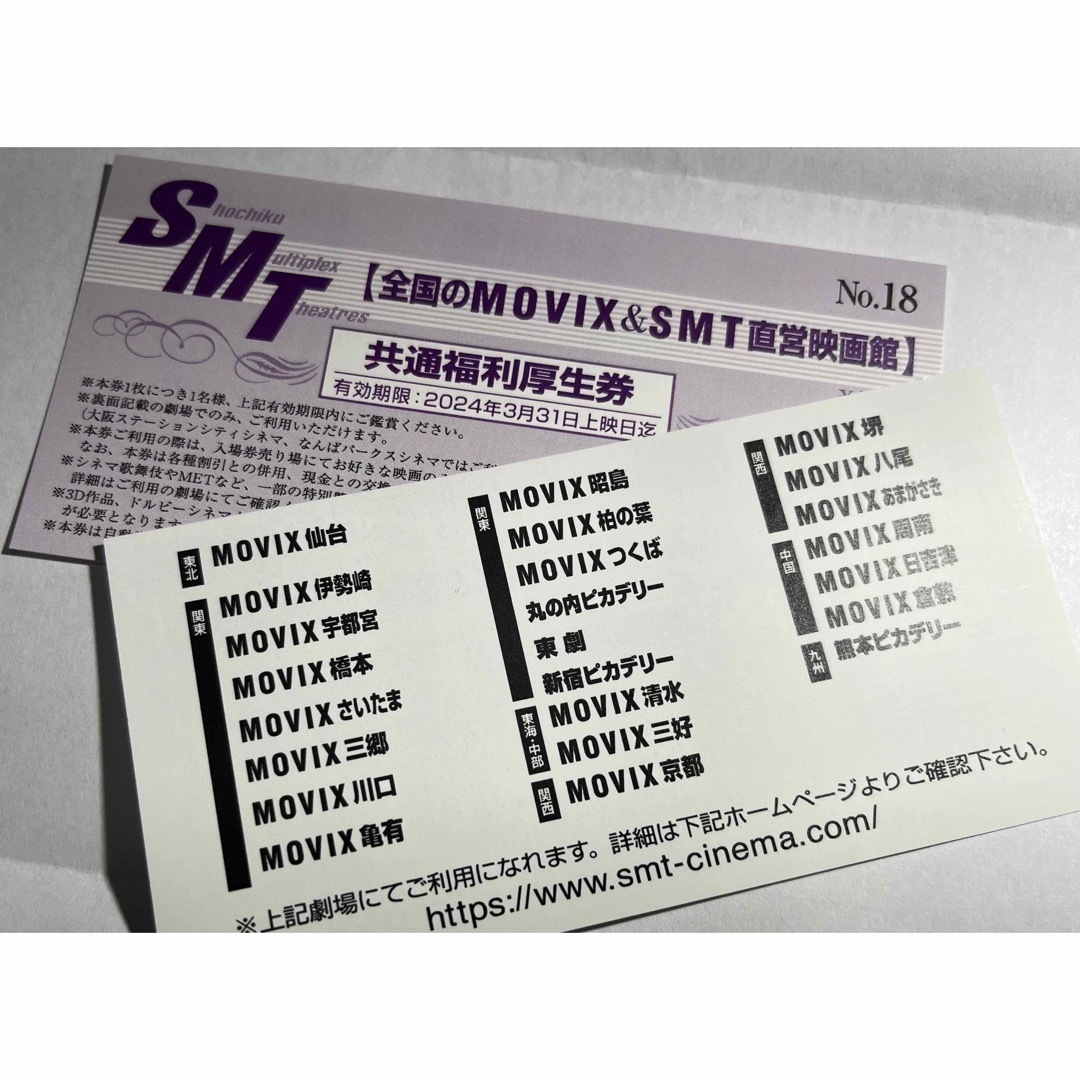 SMTシネマチケット２枚 MOVIX ムービックス - その他