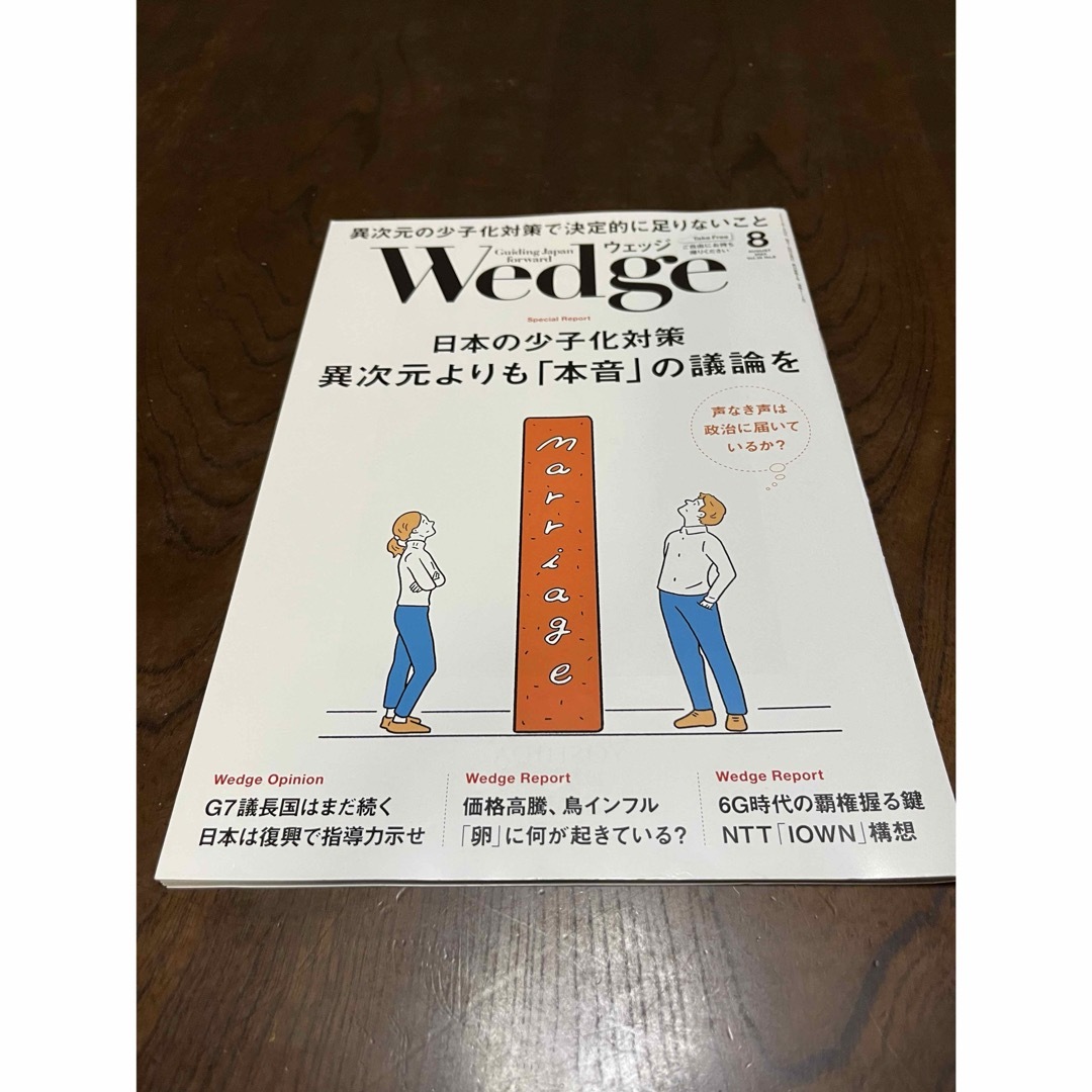 月刊Wedge ウェッジ　2023年８月号 エンタメ/ホビーの雑誌(ビジネス/経済/投資)の商品写真