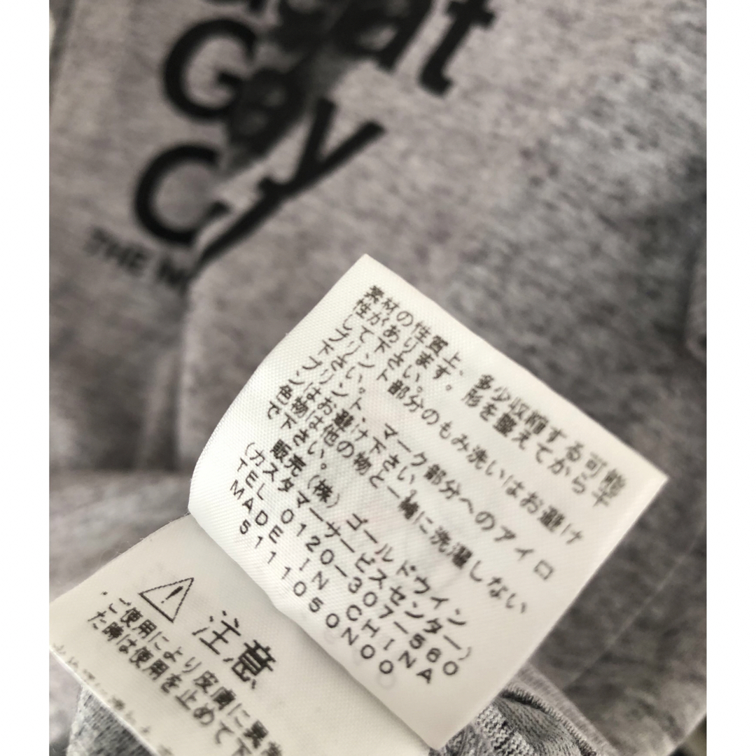 THE NORTH FACE(ザノースフェイス)のNorth Face プリントTシャツ　背中ロゴ　サイズＬ メンズのトップス(Tシャツ/カットソー(半袖/袖なし))の商品写真