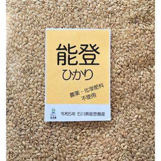 玄米　１０kg  無農薬・無化学肥料栽培(米/穀物)