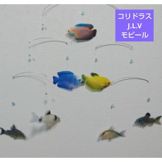 熱帯魚　コリドラス ドワーフグラミー　モビール(モビール)