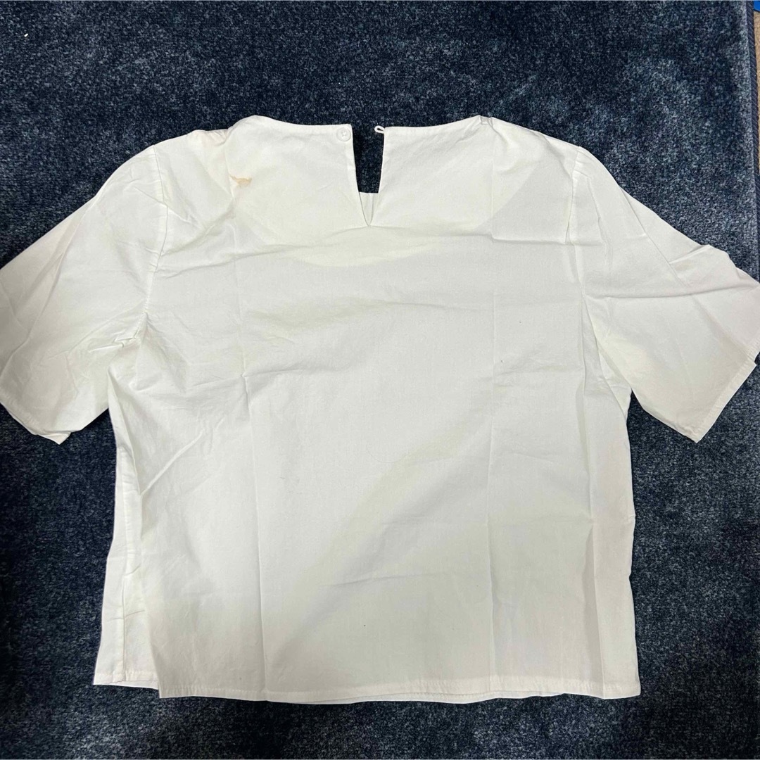 ブラウスセットリボンビスチェ レディースのトップス(シャツ/ブラウス(長袖/七分))の商品写真