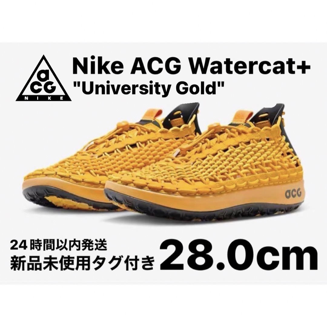 NIKE(ナイキ)の【新品】Nike ACG Watercat+ "University Gold" メンズの靴/シューズ(スニーカー)の商品写真