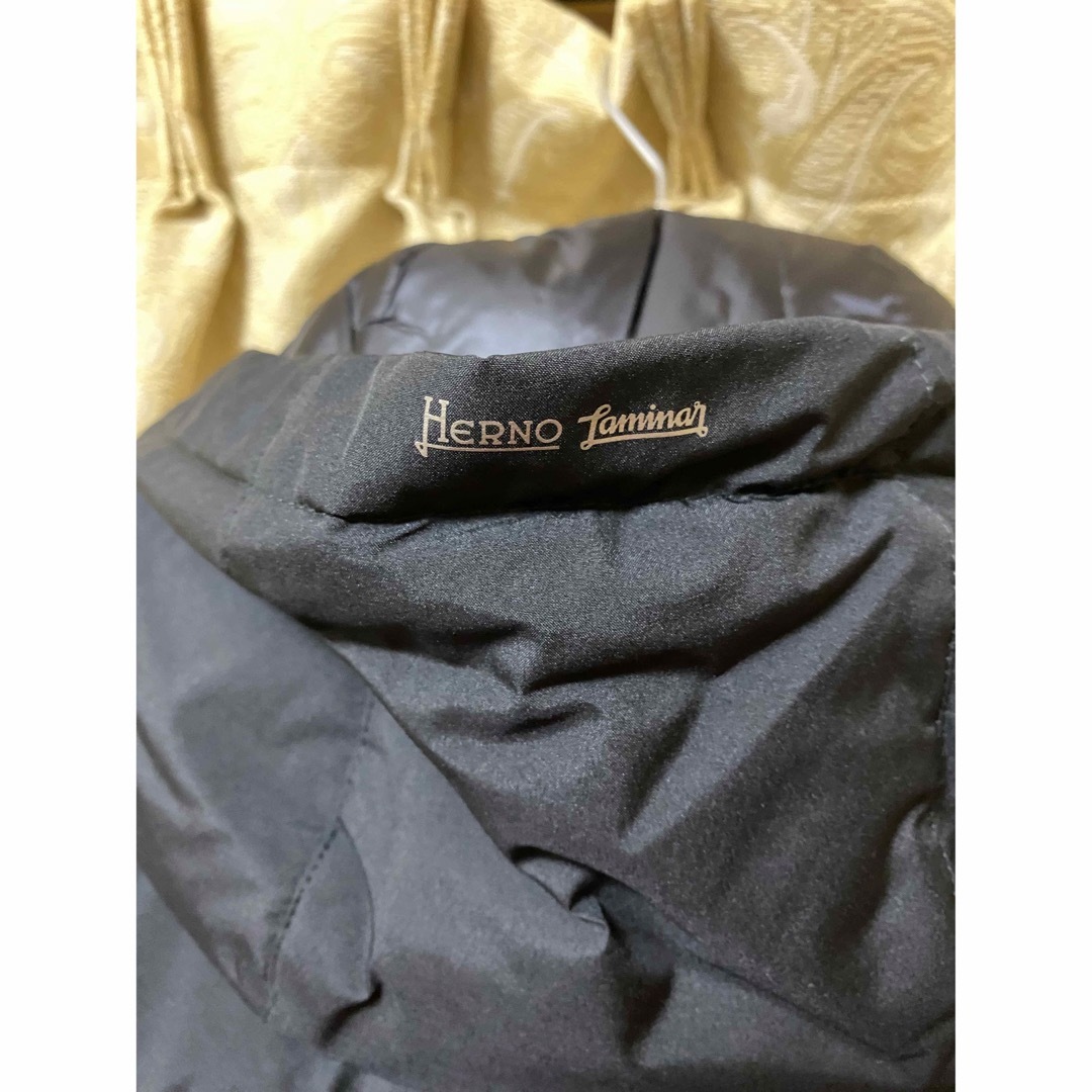 HERNO(ヘルノ)のヘルノ ラミナー 2レイヤー ゴアテックス ダウン チェスターコート　HERNO メンズのジャケット/アウター(ダウンジャケット)の商品写真