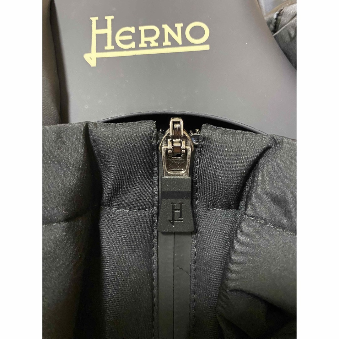 HERNO(ヘルノ)のヘルノ ラミナー 2レイヤー ゴアテックス ダウン チェスターコート　HERNO メンズのジャケット/アウター(ダウンジャケット)の商品写真