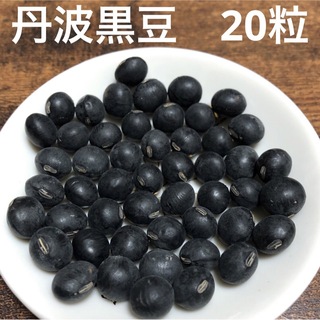 丹波産　丹波の黒豆　種(野菜)