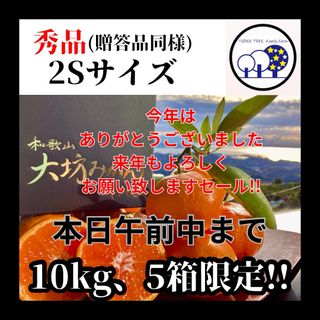 ③早い者勝ちありがとうセール!早生温州みかん「樹熟大坊みかん」秀品10Kgご購入お考えの方はTH