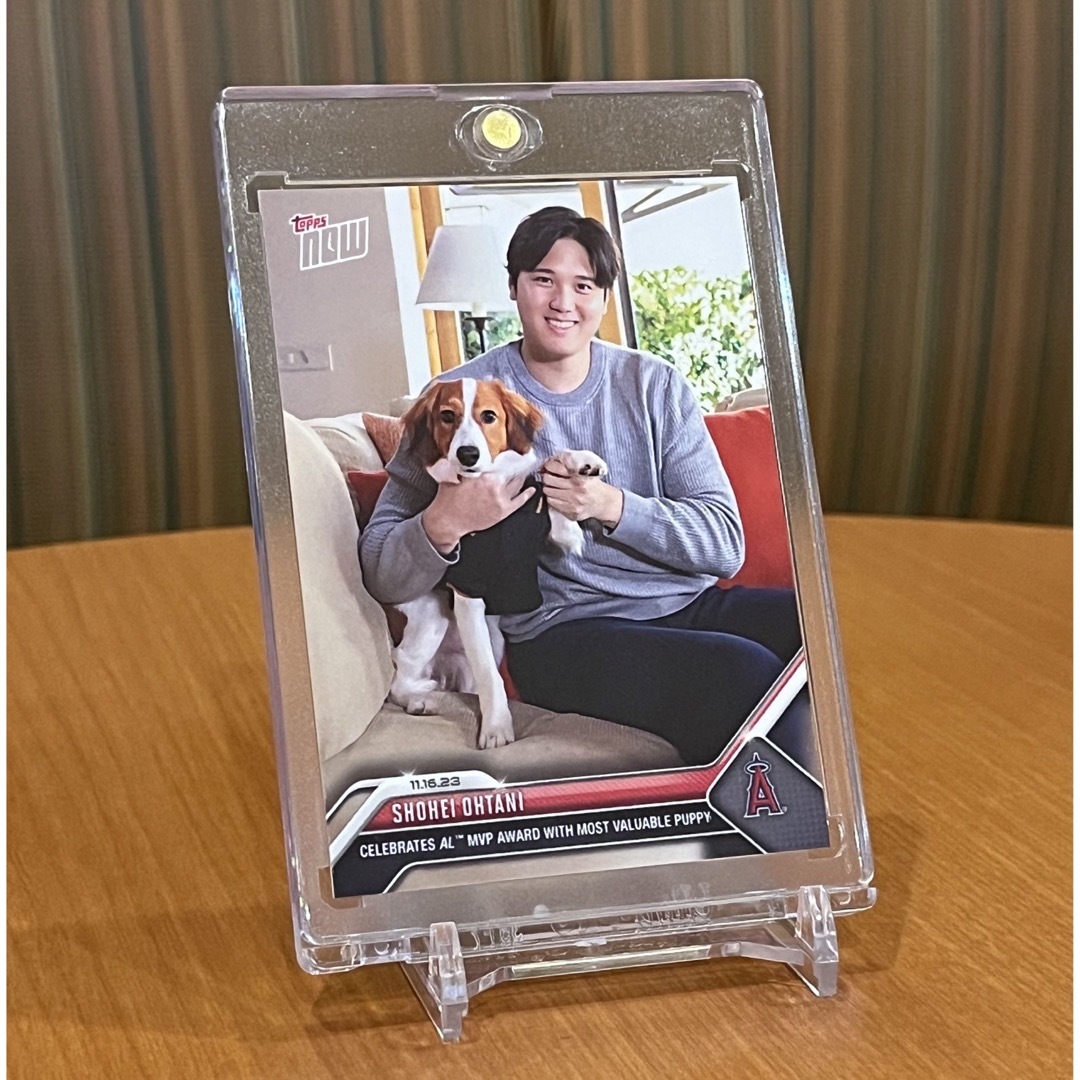 [PSA10]2023 大谷翔平with デコピン TOPPS NOW