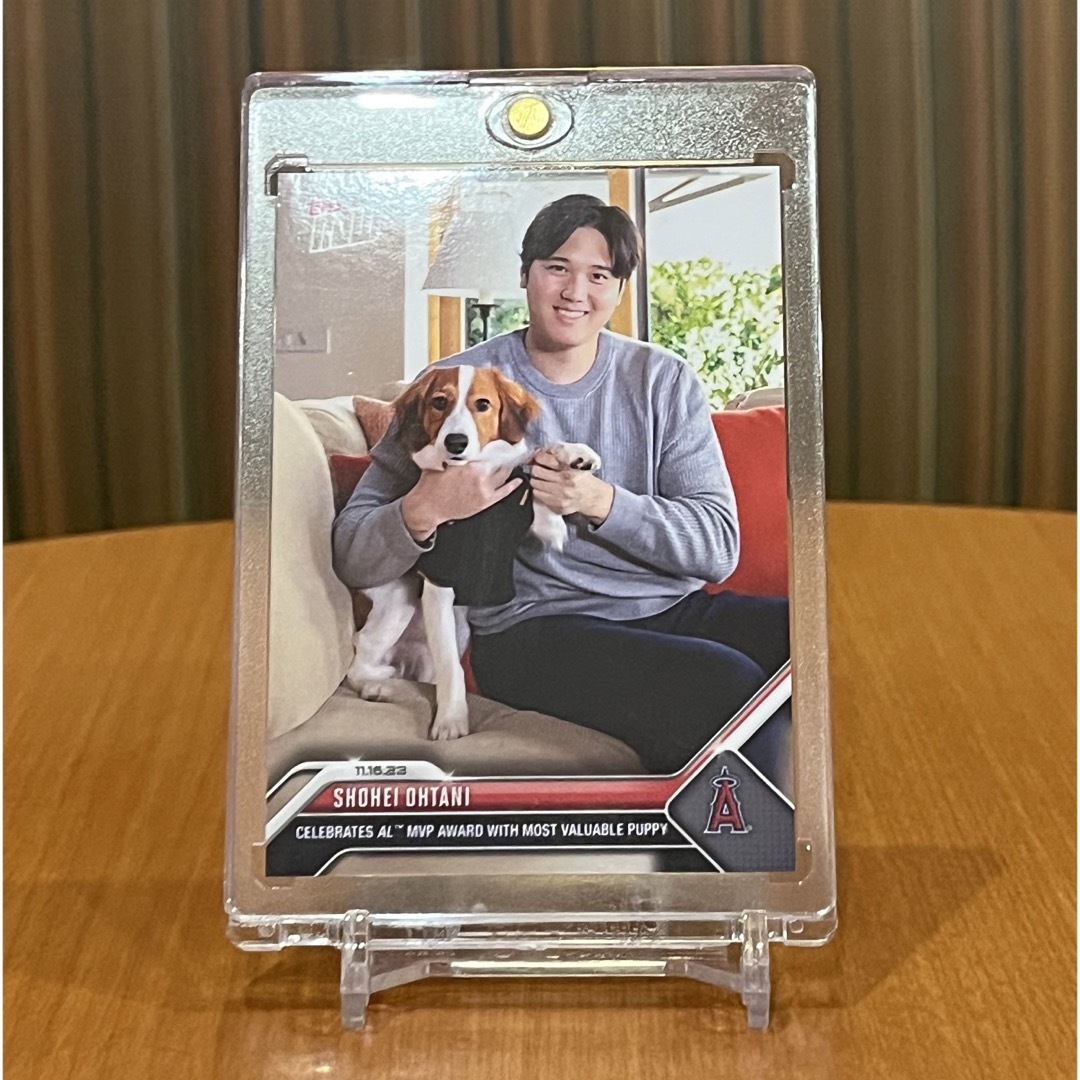 [PSA10]2023 大谷翔平with デコピン TOPPS NOW