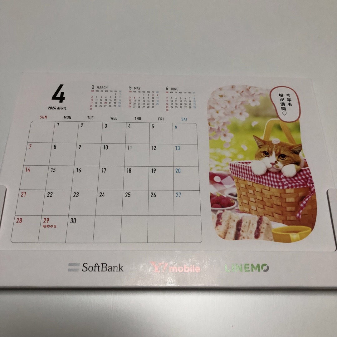 Softbank(ソフトバンク)の2024年　ソフトバンクの柴犬　卓上カレンダー インテリア/住まい/日用品の文房具(カレンダー/スケジュール)の商品写真